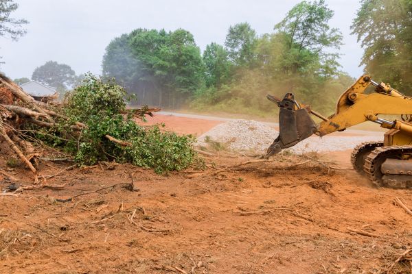 Cost of Ground Clearing in Roswell