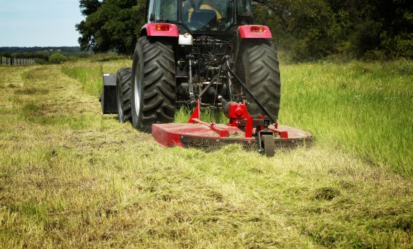 Cost of Brush Clearing Service in Roswell