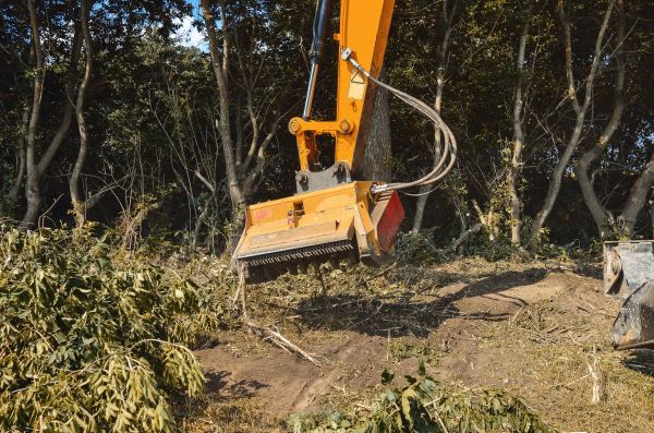 Cost of Brush Removal Service in Roswell