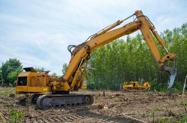 Cost of Farm Clearing in Roswell