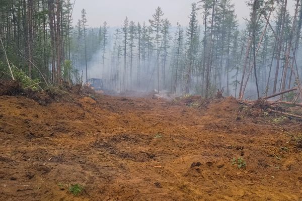 Cost of Hill Clearing in Roswell