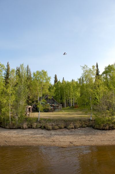 Cost of Waterfront Land Clearing in Roswell
