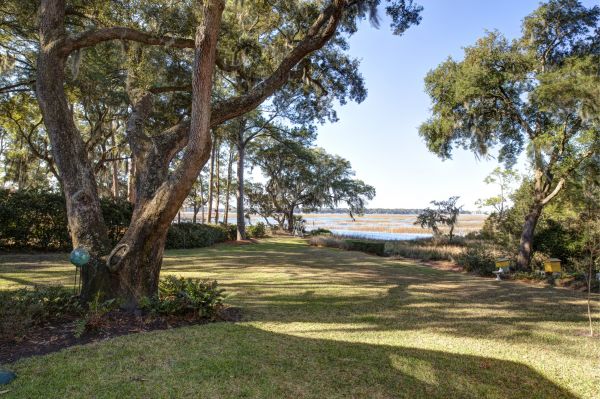 Cost of Lakefront Property Clearing in Roswell