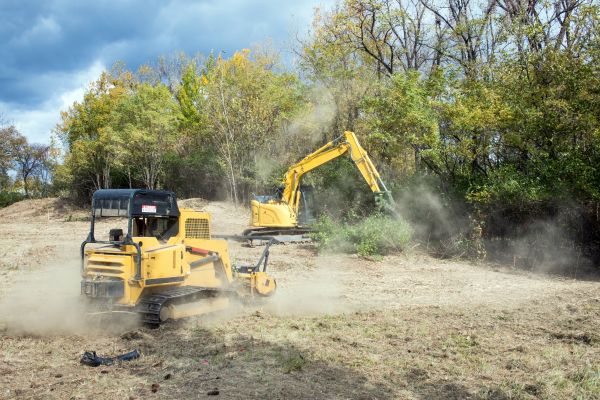 Cost of Terrain Clearing in Roswell