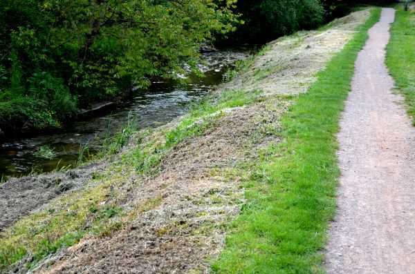 Cost of Trail Cutting in Roswell