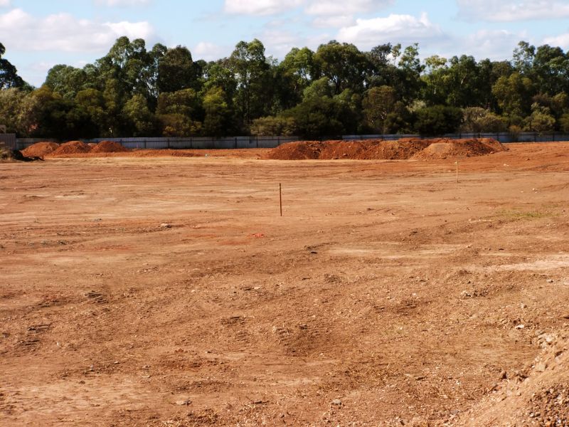 Land After Vegetation Removal