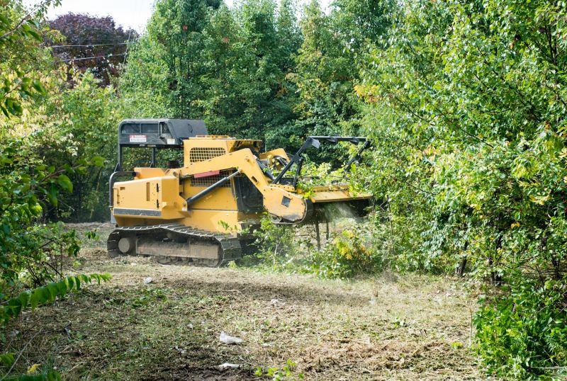 Removing Large Vegetation