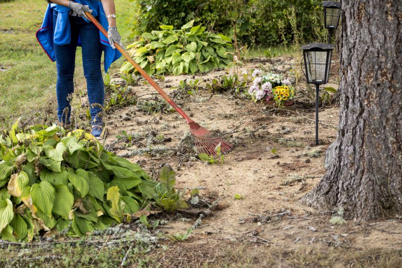 Land Clearing Contractors