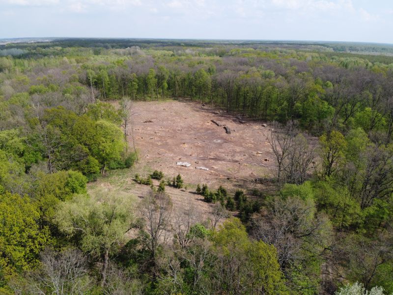 Environmental Land Clearing